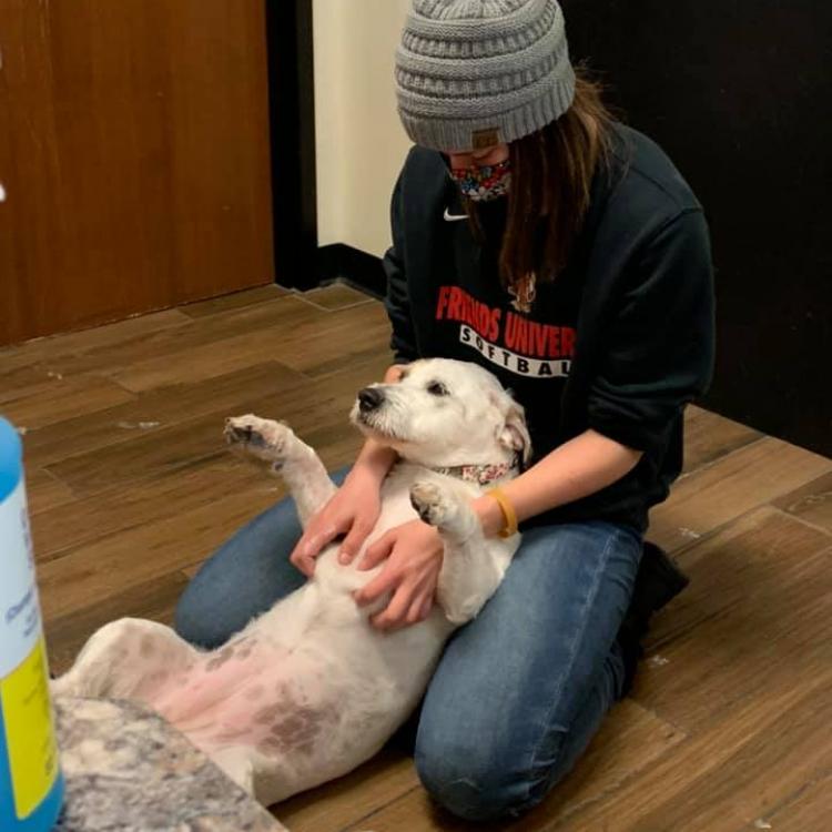 Indian Hills Animal Clinics Wichita, KS